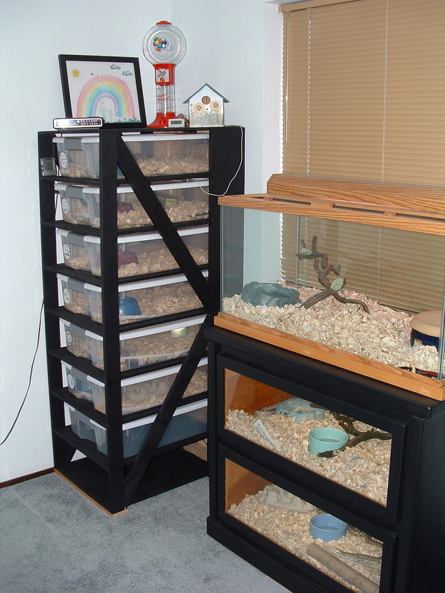 New Rack
